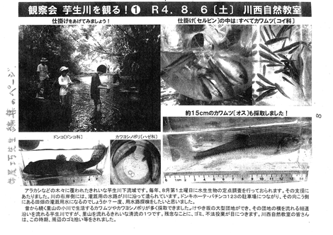 �𐶐쐅�������ώ@��