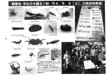 �𐶐쐅�������ώ@��