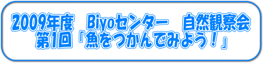 2009年度Biyoセンター自然観察会第1回「魚をつかんでみよう!」
