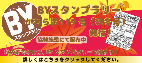 かわら版119号の紹介