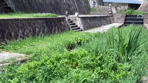 千里川・せせらぎ公園付近