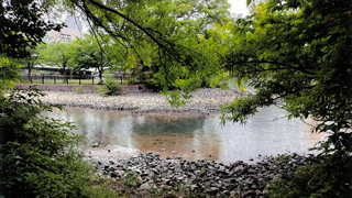 大川・源八橋