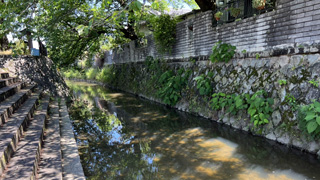 草津川にそそぐ伯母川・立木神社付近