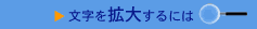 �������g�傷��ɂ�