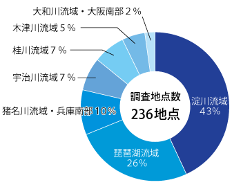 調査地点数のグラフ