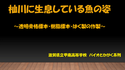 滋賀県立甲南高等学校