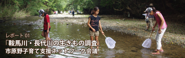 レポート1鞍馬川・長代川の生きもの調査