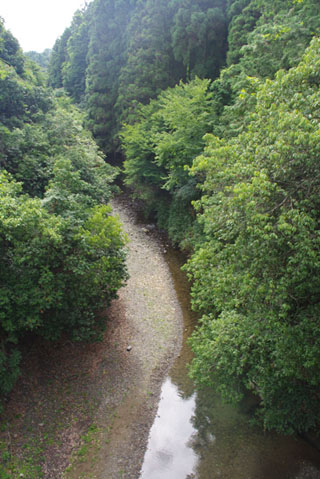 水がとってもきれいな鞍馬川