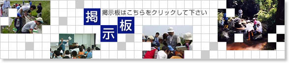 掲示板