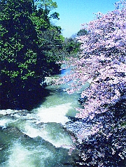 近木川