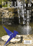 バイブルー19号