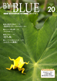 バイブルー20号
